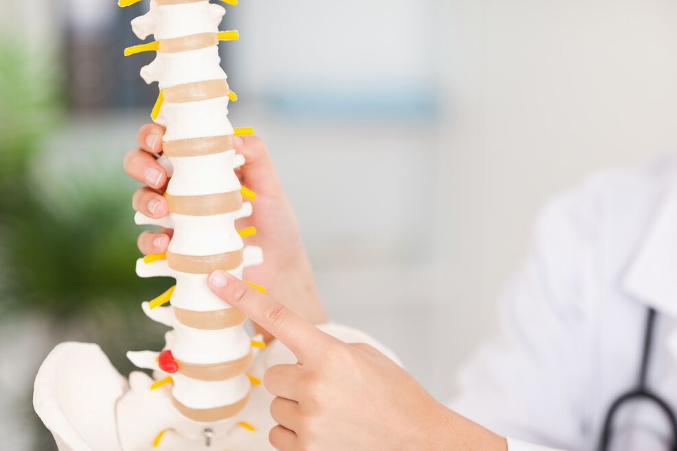 spine model ug thoracic osteochondrosis