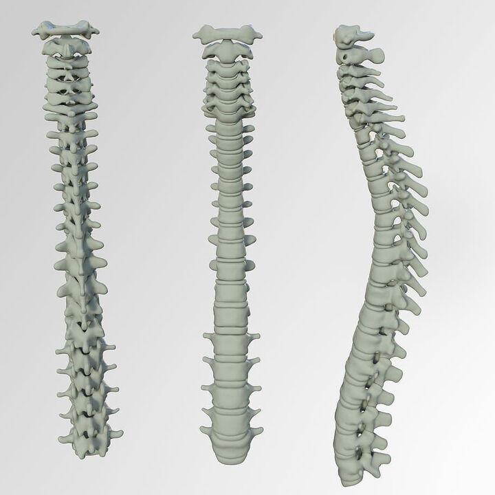 Laraw sa spine
